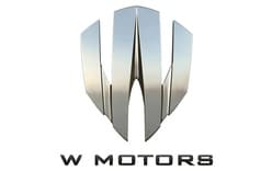 W Motors Logo: Meaning Behind the Wolf-Inspired Brand