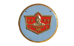 DeSoto Logo