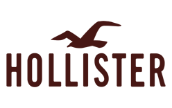 Hollister Logo